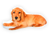 Okrasni vzglavnik English Cocker Spaniel - oranžni