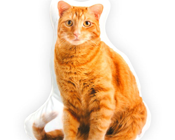 Okrasni vzglavnik Munchkin cat - oranžen